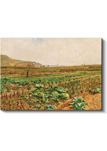 Claude Monet - Lahana Tarlası Kanvas Tablo fiyatları