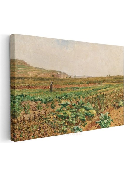 Claude Monet - Lahana Tarlası Kanvas Tablo modelleri