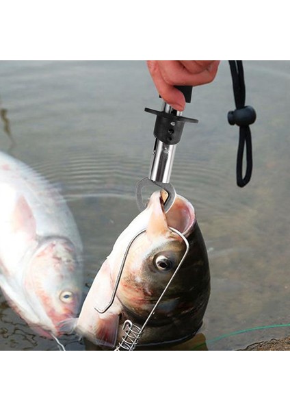 Balık Oltası Sökücü Araçları, El Dijital Balık Pulu Sıkma Balık Tutucu Balıkçılık Combo Kiti Balık Aksesuarları Mücadele (Yurt Dışından) fiyatları