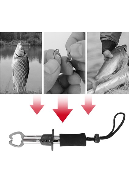 Balık Oltası Sökücü Araçları, El Dijital Balık Pulu Sıkma Balık Tutucu Balıkçılık Combo Kiti Balık Aksesuarları Mücadele (Yurt Dışından) indirimleri