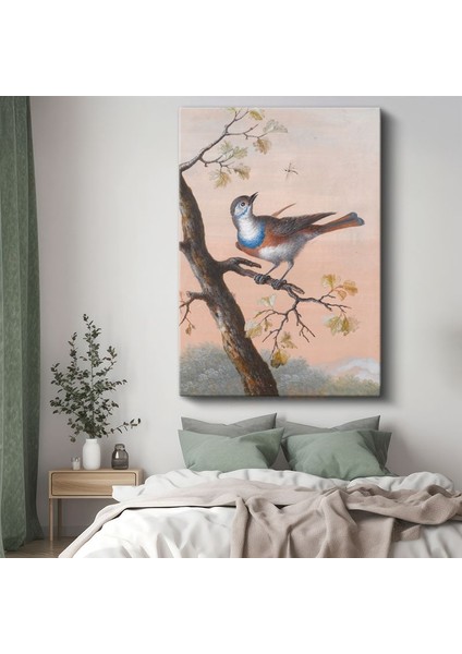 John James Audubon - Mavi Göğüslü Kuş Kanvas Tablo