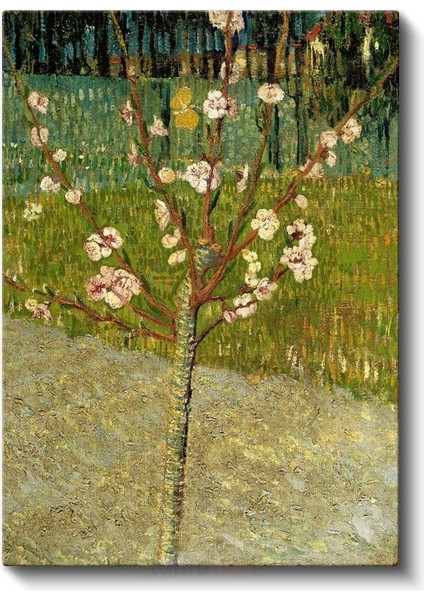 Vincent Van Gogh - Çiçek Açan Badem Ağacı Kanvas Tablo fiyatları