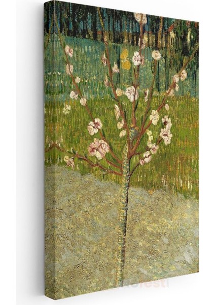 Vincent Van Gogh - Çiçek Açan Badem Ağacı Kanvas Tablo modelleri