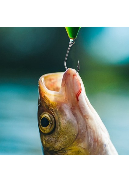 500 Adet/takım Karışık Boyut #3 ~ 12 Yüksek Karbon Çelik Sazan Balıkçılık Kancaları Perakende Kutusu ile Delikli Paketi Jig Yem (Yurt Dışından) modelleri