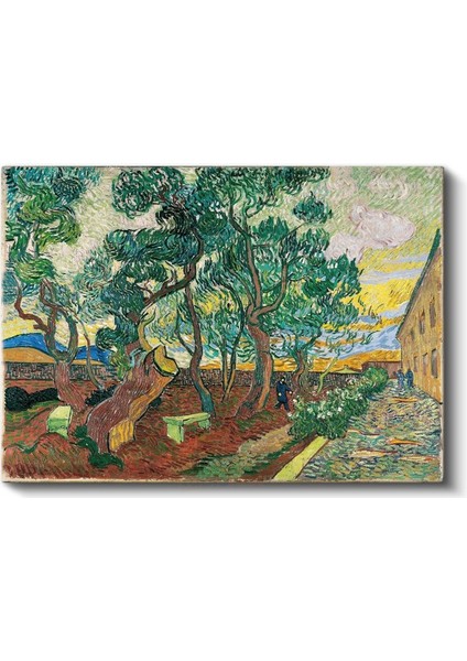 Vincent Van Gogh - Hastane Bahçesi Kanvas Tablo fiyatları