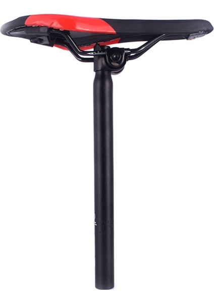 Bisiklet Sele Borusu Kelepçesi Bisiklet Sele Adaptörü Mtb Yol Katlanır Bisiklet Standart Ray Tipi Bisiklet Sele Için (Yurt Dışından)