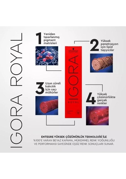 Igora Royal Saç Boyası 60 ml 5-65 Açık Kahve Çikolata Altın
