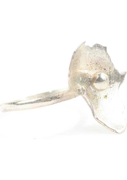 925 Ayar Gümüş Afrika Kıtası Yüzük modelleri