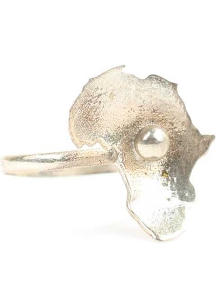 925 Ayar Gümüş Afrika Kıtası Yüzük fırsatları