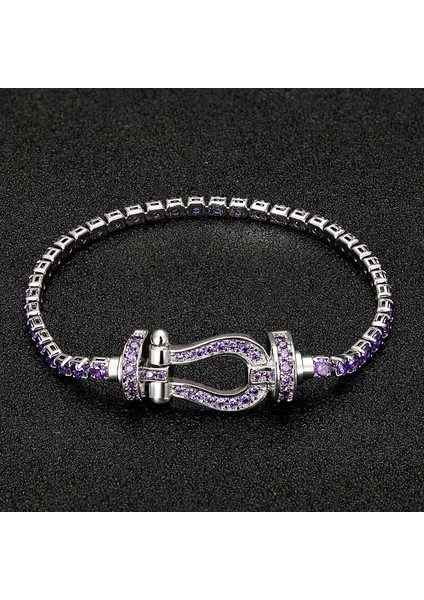 18.5cm Tarzı Jet Klasik Lüks Nal Şekilli Erkek Bilezik Takı Moda Kadın Bakır Zirkonya Bilezik & Bilezik (Yurt Dışından) fırsatları