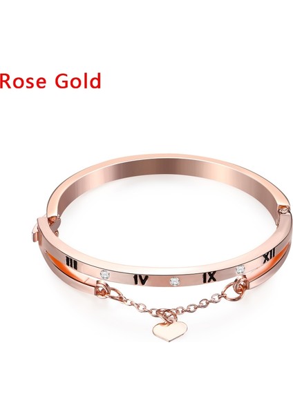 Altın Gül Kadınlar Için Gümüş Renkli Paslanmaz Çelik Bilezikler Bilezikler Kalp Sonsuza Kadar Aşk Şans Bileklik Şık Takı Lüks (Yurt Dışından)