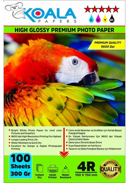 Epson 103 L5590 Evertday Premium Parlak 10X15CM Fotoğraf Kağıdı 300 Gr. 100 Adet