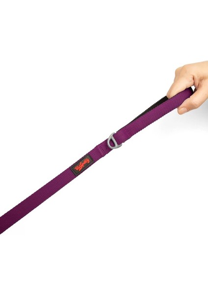 Tailpetz Purple Match Leash Small fiyatları