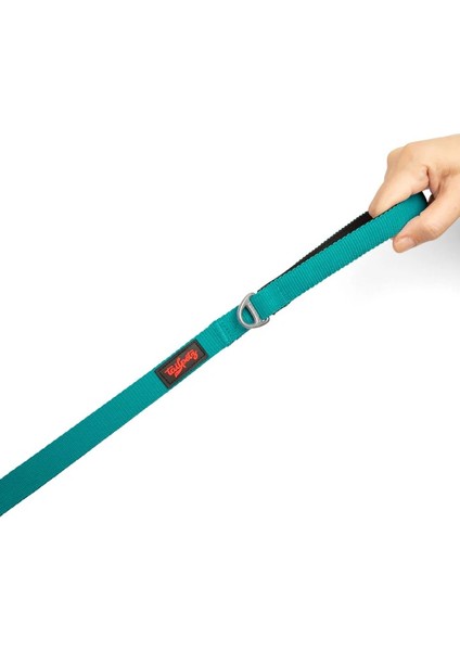 Tailpetz Emerald Match Leash Small fiyatları
