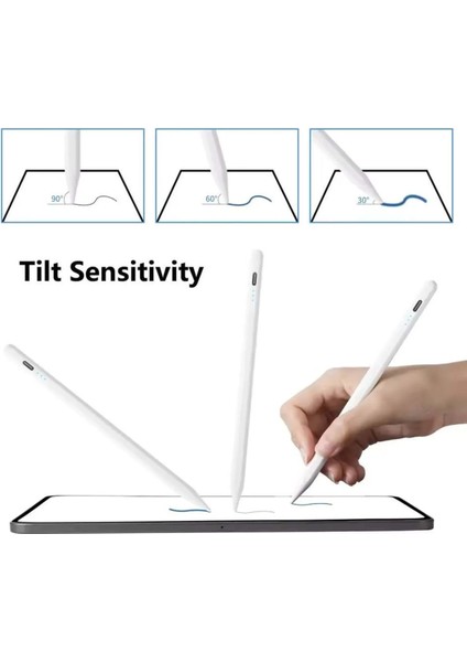 Stylus Pen Dokunmatik Tablet Kalemi Ios Android Windows Uyumlu Type-C