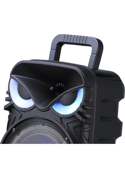 Pk-17 Fm Radyolu Mikrofonlu Rgb Tws 8 Inç Stereo Bass Kablosuz Karaoke Hoparlör