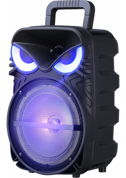 Pk-17 Fm Radyolu Mikrofonlu Rgb Tws 8 Inç Stereo Bass Kablosuz Karaoke Hoparlör