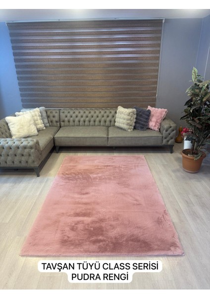 Tavşan Tüyü Pudra Yumuşak Makinada Yıkanabilir Kaymaz Kalın Dekoratif Post Halı