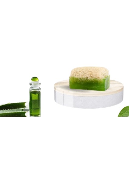 Doğal Kabak Lifli Aloe Vera Sabunu