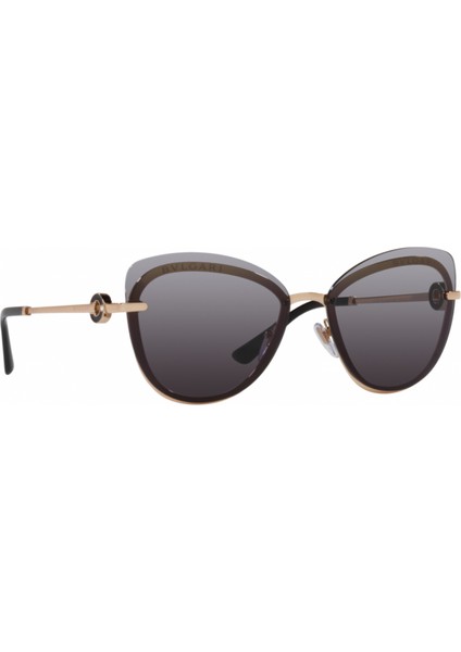 Güneş Gözlüğü Bvlgari BV6182B 20148G60