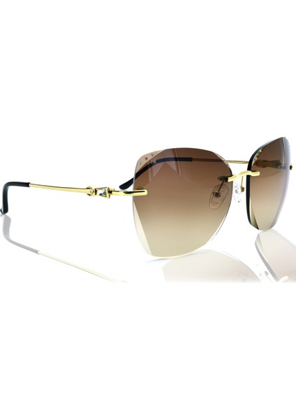 Güneş Gözlüğü Mollerus Mlg 0005 C2 fiyatları