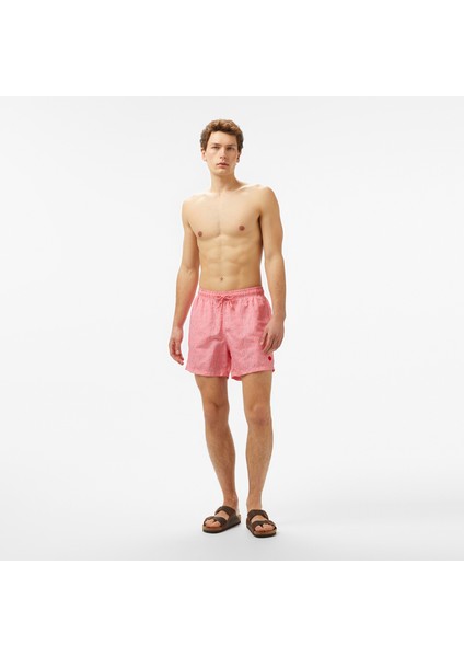 Naga.pembe