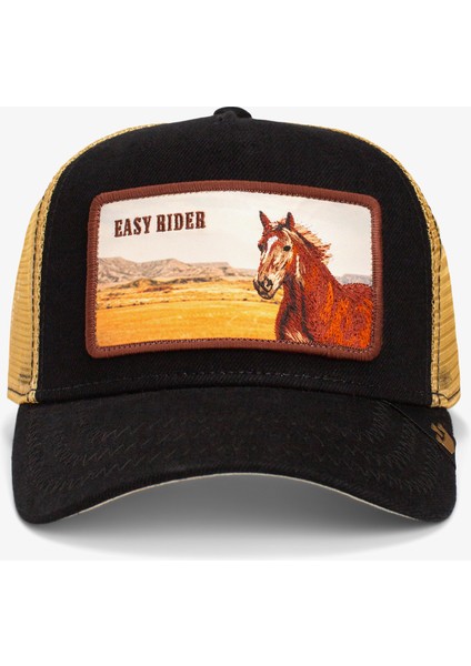 Easy Rider.black fiyatları