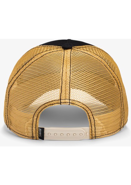 Easy Rider.black modelleri