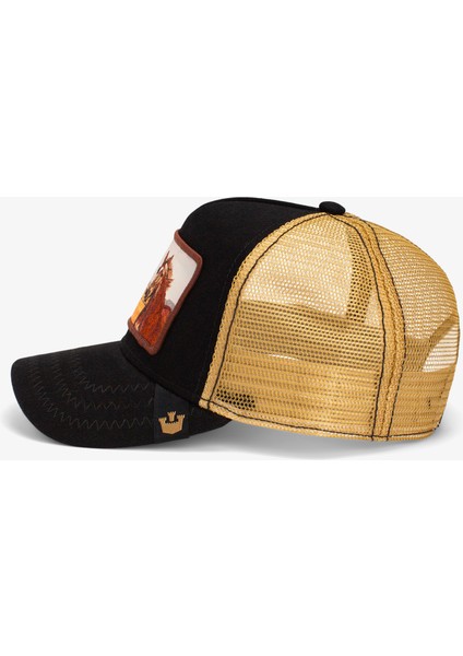 Easy Rider.black fırsatları