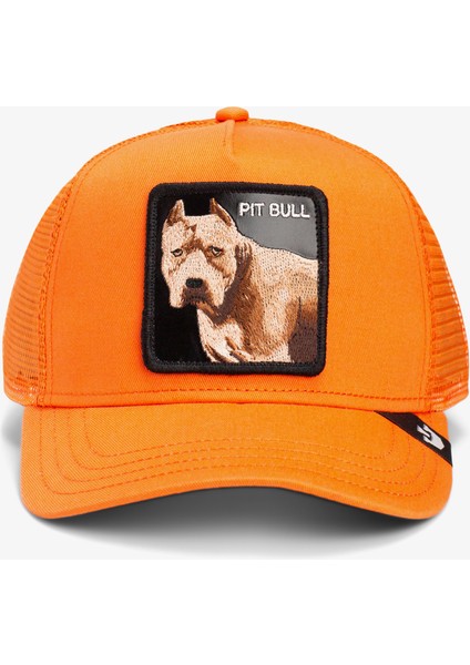 The Dog Pitbull.orange fiyatları