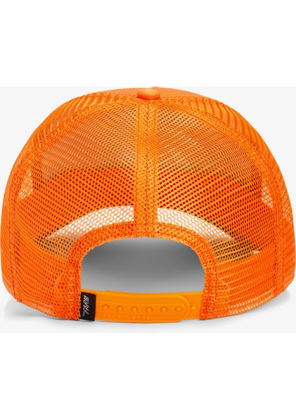 The Dog Pitbull.orange modelleri