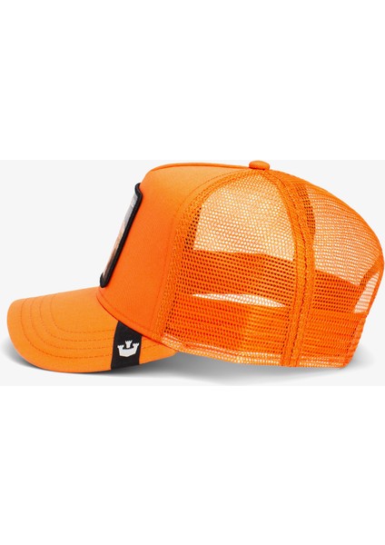 The Dog Pitbull.orange fırsatları