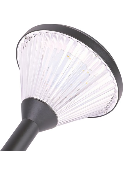 Dlc Saplama Solar Sarı ve Beyaz Işık