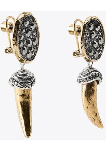 Parlak Taşlı Boynuz Küpe fiyatları