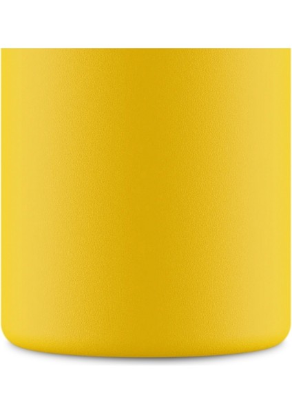 Urban Bottle Taxi Yellow Paslanmaz Çelik Su Şişesi 500 ml modelleri