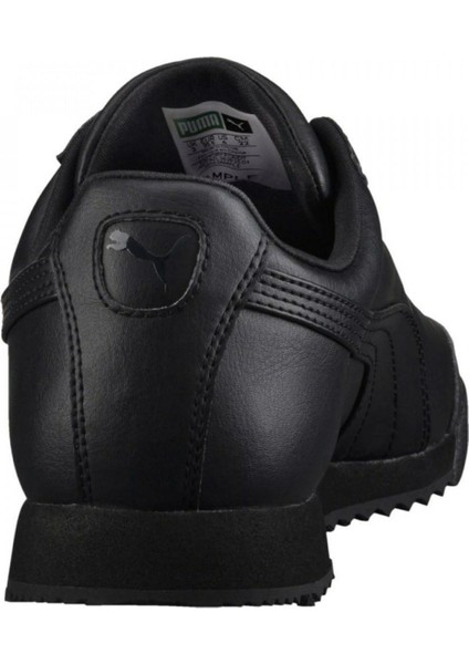 Roma Basic Jr