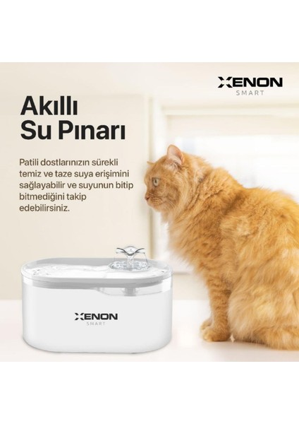 Akıllı Otomatik Kedi Tuvaleti Kameralı Mama Kabı Led Işıklı Su Pınarı Smart Tag ve Yedek Filtre 5'li Pet Seti