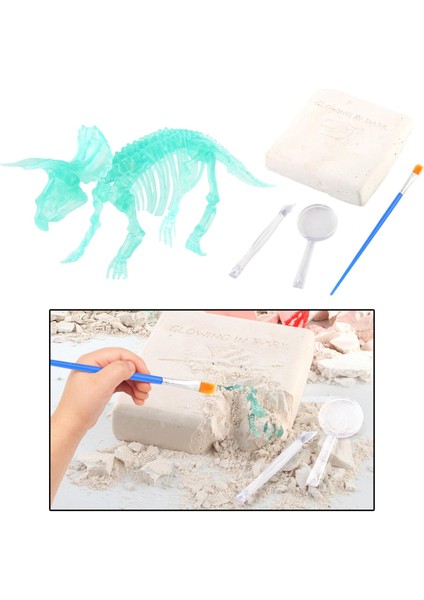 Kids Dinozor Arkeoloji Dino Oyuncak Triceratops (Yurt Dışından)