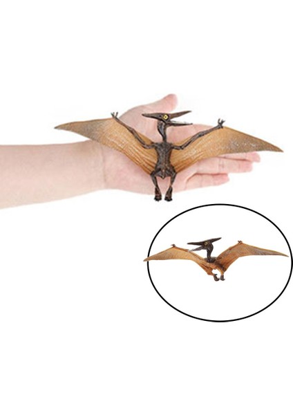 Pterosaur Figürleri Oyuncaklar Çocuk Figürine Pterodactyl (Yurt Dışından)