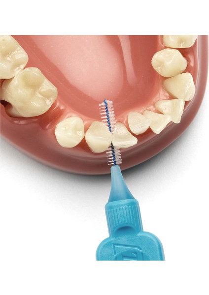 Blisterli Arayüz Fırçası 6 Lı Mavi