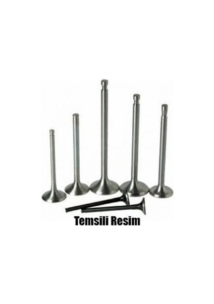 Subap Emme+Egsoz Mst 2.5 Dcı 16V