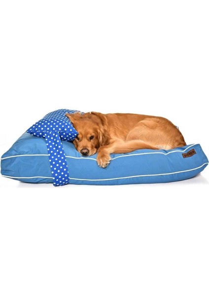 Luxury Köpek Yatağı ve Yastık Takımı - Jools Large 1 Adet