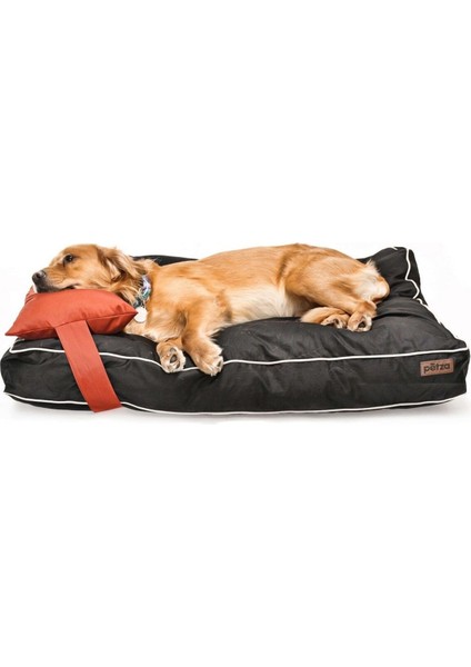 Luxury Köpek Yatağı ve Yastık Takımı - Jewel Large 1 Adet