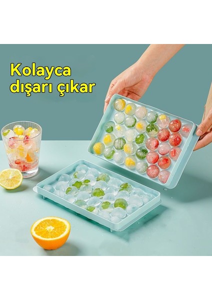 Küçük Langırt Buz Izgası (Yurt Dışından)