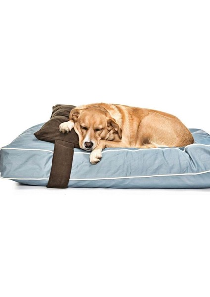 Luxury Köpek Yatağı ve Yastık Takımı - Jinzo Large 1 Adet