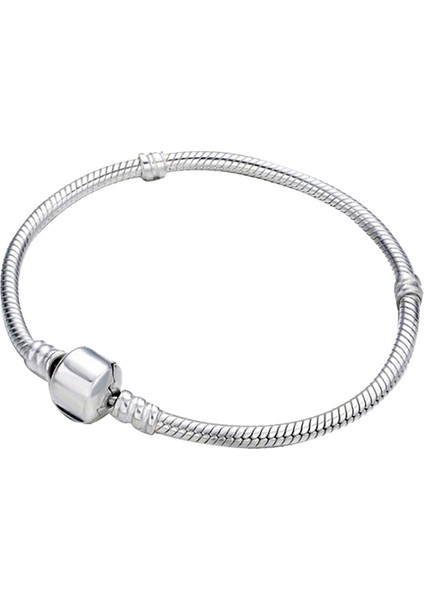 Gümüş Yılan Zincir Bağlantı Braketi, Uzunluk: 18CM (Yurt Dışından) fiyatları