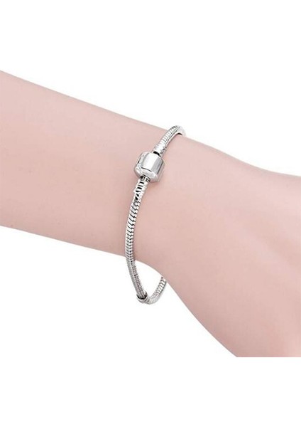 Gümüş Yılan Zincir Bağlantı Braketi, Uzunluk: 18CM (Yurt Dışından) indirimleri