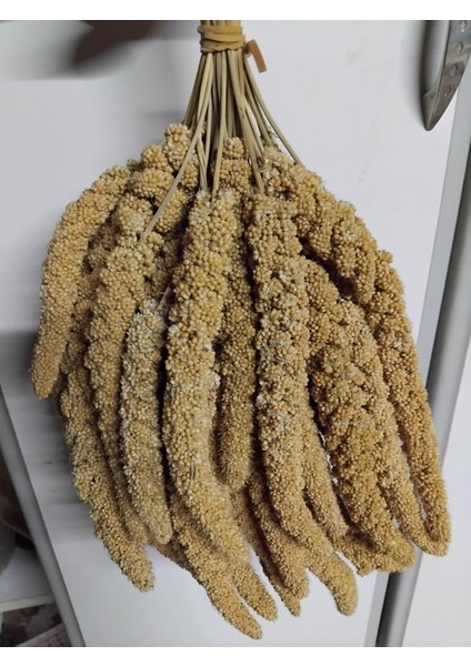Dal Darı-Doğal Sarı Daldarı Kuş Yemi 1 kg