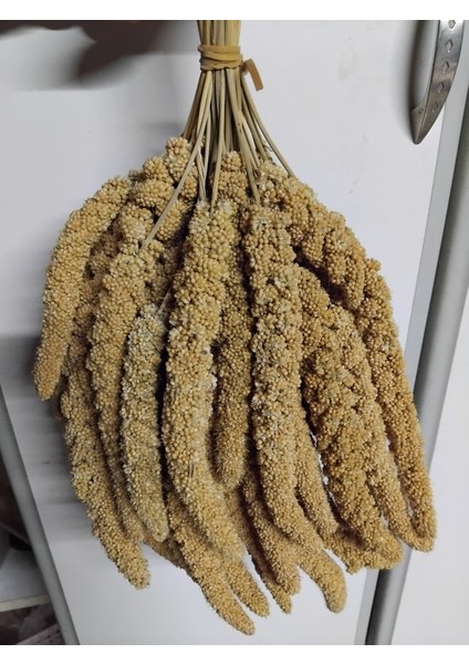 Dal Darı-Doğal Sarı Daldarı Kuş Yemi 1 kg