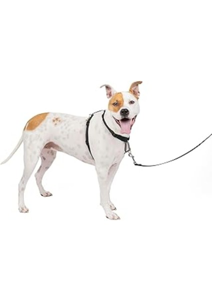 Luxury Petsafe The Makers Of The Easy Walk Harness, 3'ü 1 Arada Koşum Kayışı, Tamamen Ayarlanabilir, Çekme 1 Adet